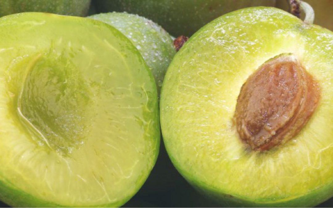 Kakadu Plum: 5 Benefits of the Most Vitamin C-Rich Fruit on the Planet